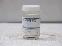 藏品(飾銜鯊)的圖片